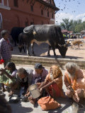 Hindu Festival, Pashupatinath Temple, Kathmandu, Nepal Photographie par Ethel Davies