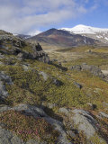 Moss Covered Lava Beds Surround Snaefellsjokull, on the Snaefellsnes Peninsula, Iceland, Photographic Print