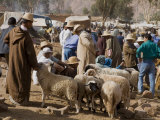 Weekly Market, Tahanoute, High Atlas Mountains, Morocco, North Africa, Africa Photographie par Ethel Davies