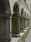 Cloister, Ross Errilly Franciscan Friary, Near Headford, County Galway, Connacht, Ireland Photographic Print by Gary Cook
