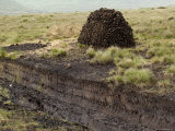 Peat Cutting, Connemara, County Galway, Connacht, Republic of Ireland Photographic Print by Gary Cook