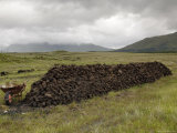 Cut Peat Stacked up for Winter, Connemara, County Galway, Connacht, Republic of Ireland Photographic Print by Gary Cook