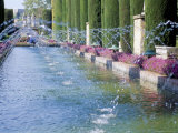 Fountains in Gardens, Cordoba, Andalucia (Andalusia), Spain Photographic Print by James Emmerson