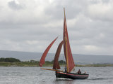 Galway Hookers at Roundstone Regatta, Connemara, County Galway, Connacht, Republic of Ireland Photographic Print by Gary Cook