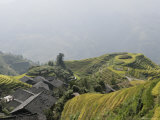 Longsheng Terraced Ricefields, Guilin, Guangxi Province, China Photographic Print by Angelo Cavalli