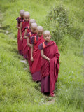 Buddhist Monks from Karchu Dratsang Monastery, Jankar, Bumthang, Bhutan Photographic Print by Angelo Cavalli