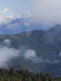 Tree Covered Slopes, Himalayas, Bhutan Photographic Print by Angelo Cavalli