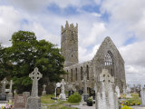 Claregalway Franciscan Friary, Near Galway, County Galway, Connacht, Republic of Ireland Photographic Print by Gary Cook