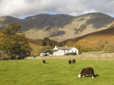 Wasdale Head with Pillar 2927Ft Behind, Wasdale Valley, Lake District National Park, England Photographic Print by James Emmerson