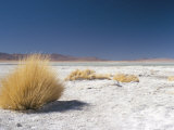 Laguna Verde, Salar De Uyuni, Bolivia, South America Photographic Print by Mark Chivers