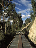 View of Trees from the Roof of the Train from Alausi to Riobamba, Ecuador, South America Photographic Print by Mark Chivers