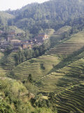 Longsheng Terraced Ricefields, Guilin, Guangxi Province, China Photographic Print by Angelo Cavalli