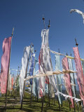 Buddhist Prayer Flags on Cheli La Pass (3810Mt), from Paro to Haa Valley, Paro, Bhutan Photographic Print by Angelo Cavalli