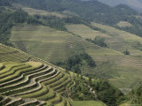 Longsheng Terraced Ricefields, Guilin, Guangxi Province, China Photographic Print by Angelo Cavalli