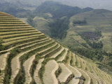 Longsheng Terraced Ricefields, Guilin, Guangxi Province, China Photographic Print by Angelo Cavalli