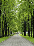 Esplanade, Green Park Near the Russian Orthodox Cathedral, Riga, Latvia, Baltic States Photographic Print by Gary Cook