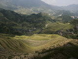 Longsheng Terraced Ricefields, Guilin, Guangxi Province, China Photographic Print by Angelo Cavalli