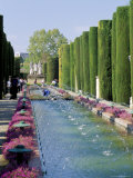 Fountains in Gardens, Cordoba, Andalucia (Andalusia), Spain Photographic Print by James Emmerson Fountains in Gardens, Cordoba, Andalucia (Andalusia), Spain Photographic Print by James Emmerson