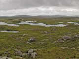 Bog Land, Connemara, Connacht, Ireland Photographic Print by Gary Cook