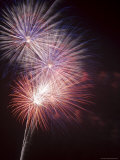 Fireworks Celebrating the 4th of July, Miami, Florida, USA Photographie par Angelo Cavalli