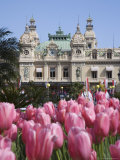 The Casino, Monte Carlo, Monaco, Cote d'Azur Photographic Print by Angelo Cavalli