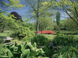 Japanese Bridge, Heale House Gardens, Middle Woodford, Wiltshire, England, United Kingdom Photographie par Chris Nicholson