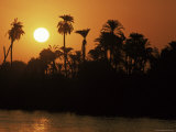Sun Setting Behind Palms Across the River Nile's West Bank, Luxor, Thebes, Egypt Photographic Print by Ken Gillham