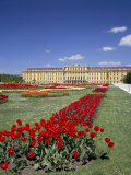Palace and Gardens, Schonbrunn, Unesco World Heritage Site, Vienna, Austria Photographic Print by Peter Scholey