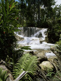 Dunns River Falls, Jamaica, West Indies, Caribbean, Central America Photographic Print by Robert Harding Dunns River Falls, Jamaica, West Indies, Caribbean, Central America Photographic Print by Robert Harding
