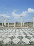 House of the Lion Hunt with Exquisite Floor Mosaics, Pella, Greece Photographic Print by Tony Gervis
