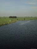 Landscape Near Leiden, Holland Photographic Print by Robert Harding