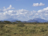 Looking North in Samburu Bush Country, Kenya, East Africa, Africa Lámina fotográfica por Desmond Harney