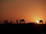 The Sam Sand Dunes at Dusk, Near Jaisalmer, Rajasthan State, India Photographic Print by Robert Harding The Sam Sand Dunes at Dusk, Near Jaisalmer, Rajasthan State, India Photographic Print by Robert Harding