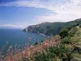 South West Peninsula Coast Path, Devon, England, United Kingdom Photographic Print by Chris Nicholson