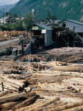 Sawmill, British Columbia, Canada Photographic Print by Robert Harding