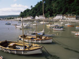 The Harbour, Minehead, Somerset, England, United Kingdom Photographic Print by Chris Nicholson