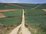 Grain Fields Between Najera and Azofra, La Rioja, Spain Photographic Print by Ken Gillham