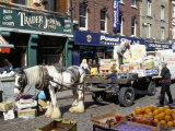 Moore Street Market, Dublin, County Dublin, Eire (Ireland) Photographie par Ken Gillham