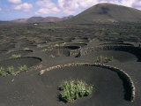 Vine Cultivation, La Geria Region, Lanzarote, Canary Islands, Spain Photographic Print by Ken Gillham