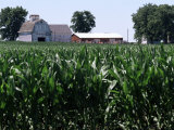 Barns on Farm, Hudson, Illinois, Midwest, USA Photographic Print by Ken Gillham