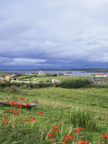 Landscape Near Ardara, County Donegal, Ulster, Eire (Republic of Ireland) Photographie par David Lomax