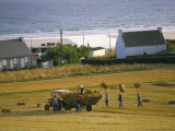 Telgruc-Sur-Mer, Crozon Peninsula, Finistere, Brittany, France Photographic Print by David Hughes