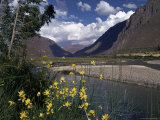 The Urubamba Valley, the River Continues Down the Gorge Past Machu Picchu, Peru, South America Photographie par Walter Rawlings