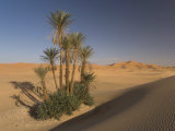 Erg Chebbi, Merzouga, Sahara Desert, Morocco, North Africa, Africa Photographic Print by Gavin Hellier Erg Chebbi, Merzouga, Sahara Desert, Morocco, North Africa, Africa Photographic Print by Gavin Hellier