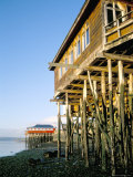 Stilted Buildings, Zone of Castro, Chiloe, Chile, South America Photographic Print by Geoff Renner