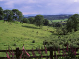 View from Windmill Hill, Waseley Country Park Near Rubery, Chapmans Hill, England Photographic Print by David Hughes View from Windmill Hill, Waseley Country Park Near Rubery, Chapmans Hill, England Photographic Print by David Hughes