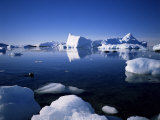 Ice Scenery and Seal, Antarctica, Polar Regions Photographic Print by Geoff Renner