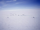 Aerial View of Siple Station, United States Antarctic Program, Antarctica Lámina fotográfica por Geoff Renner