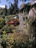 View to Japanese Garden, Monte Palace Tropical Garden, Funchal, Madeira, Portugal Photographic Print by Jenny Pate