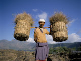 Farmer Carrying Baskets, Bali, Indonesia, Southeast Asia Photographic Print by Gavin Hellier Farmer Carrying Baskets, Bali, Indonesia, Southeast Asia Photographic Print by Gavin Hellier